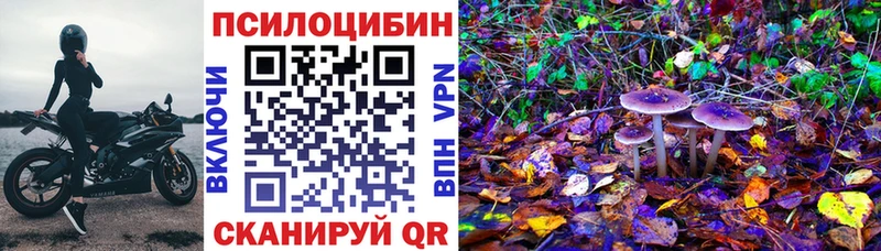 shop какой сайт  где найти наркотики  ОМГ ОМГ рабочий сайт  Александровск-Сахалинский  Галлюциногенные грибы Psilocybe 